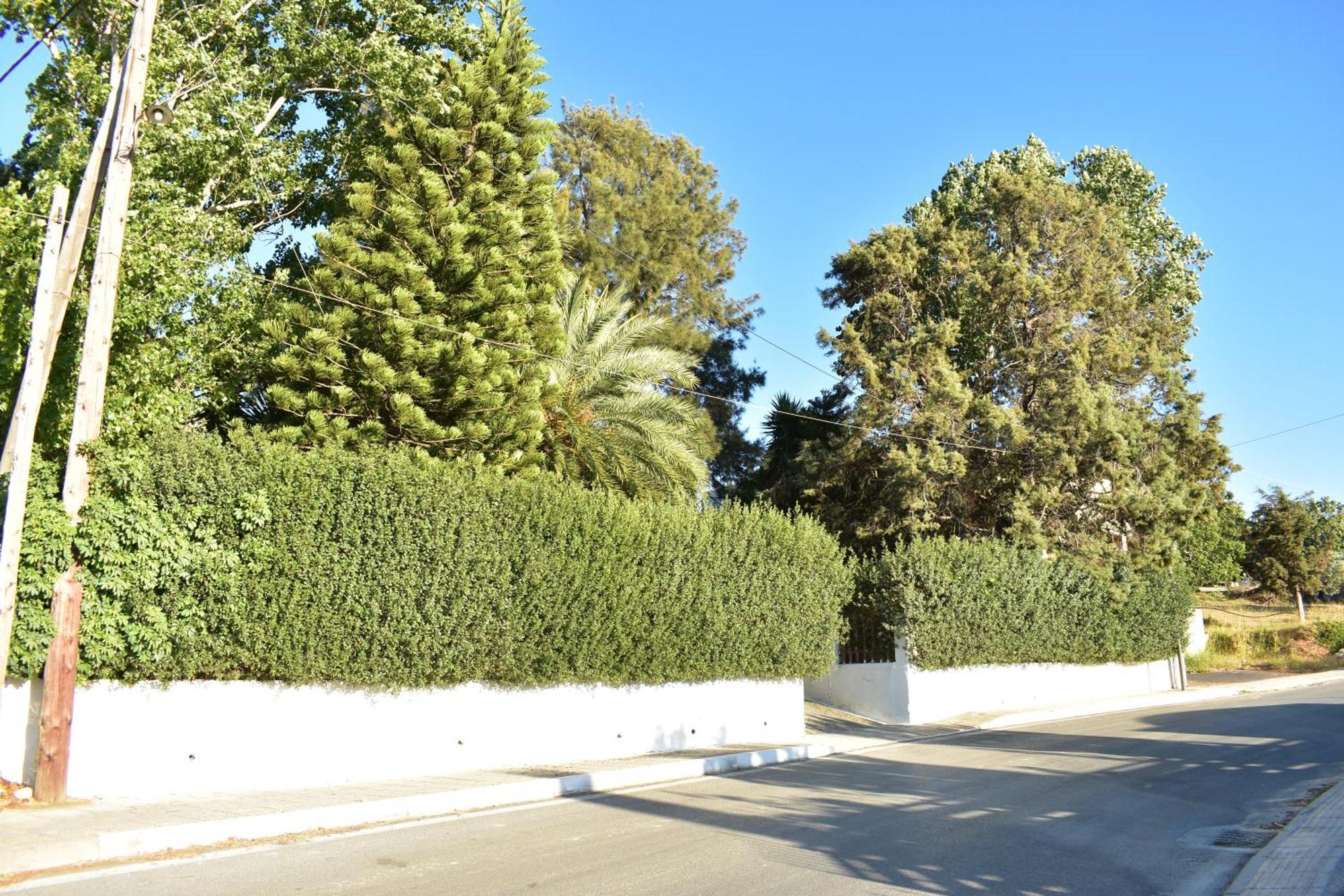 Νιrαsτεrο - The House In The Trees Villa Kalloni  Buitenkant foto